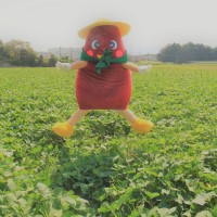 （オープニング）インスタ_1227中-２