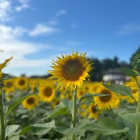 （オープニング）インスタ_1227中-１７