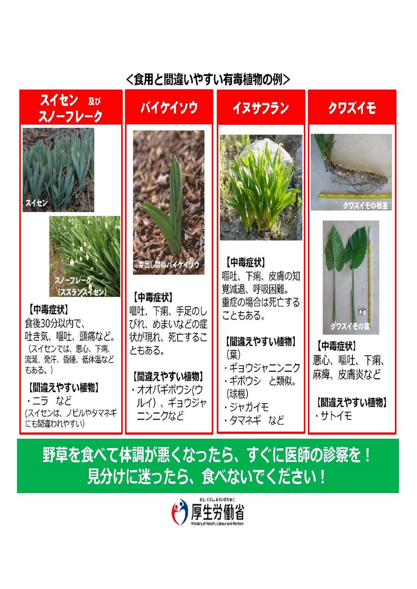 有毒食物に要注意