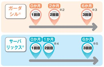 2価・4価接種スケジュール表
