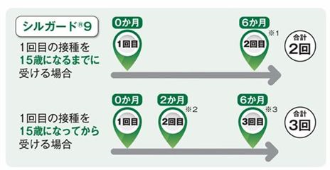 9価接種スケジュール表
