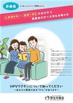 概要版