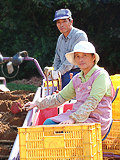 坂本辰男さん・サキ子さん夫妻の写真