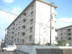 あけぼの団地写真の画像1