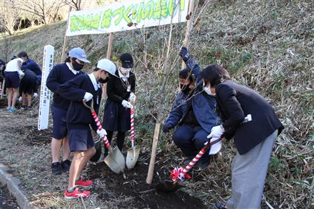 植樹する様子
