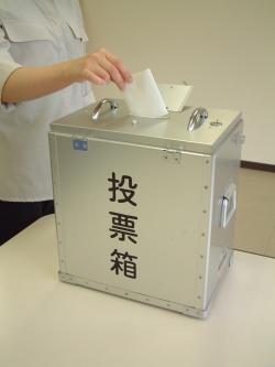 投票の写真