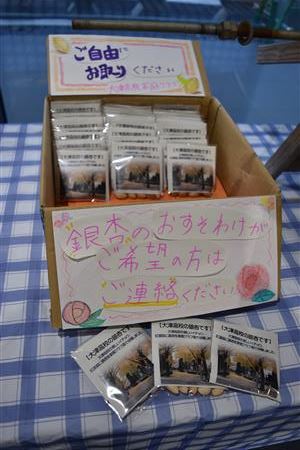 銀杏