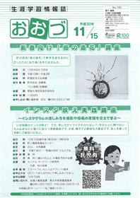 表紙