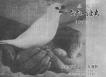 昭和47年7月