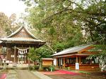 日吉神社本殿の画像