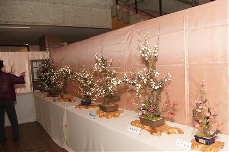 梅の造花