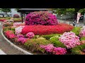 大津町の紹介動画