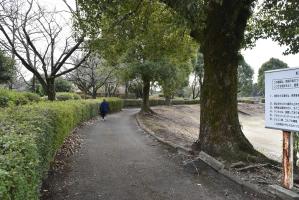 木々に囲まれた公園内