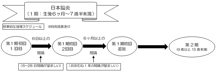 日本脳炎接種時期図