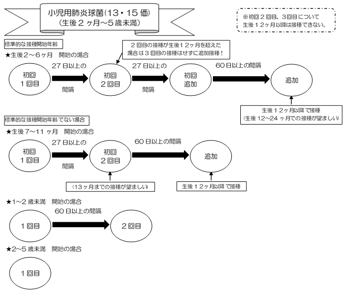 小児用肺炎球菌接種時期図