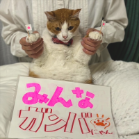 応援写真（例）3