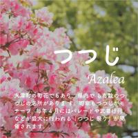 つつじ