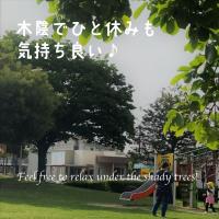 木陰でひと休みも気持ちが良い過ごし方