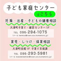 子ども家庭センターとは