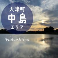 中島で水の張った田んぼの様子