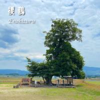 榎鶴