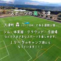 スポーツの森とは
