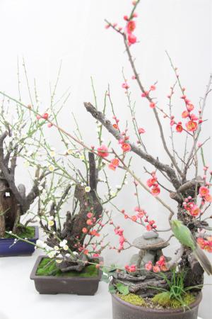 梅の造花が並ぶ様子