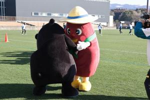 からいもくんに絡むくまモン
