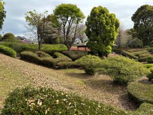 昭和園つつじ6