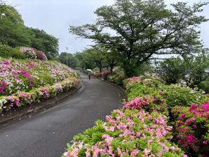 昭和園5