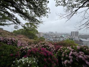 日吉神社２
