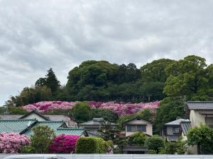 日吉神社１