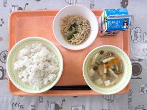 令和7年11月12日