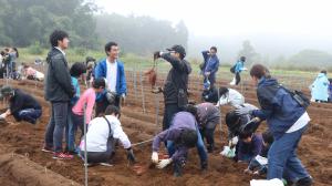 からいも堀り大会の様子