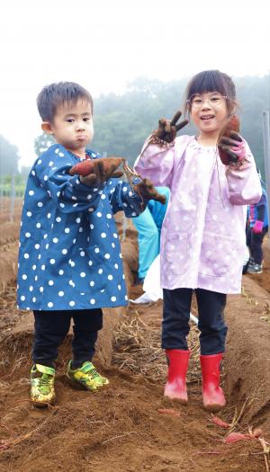 兄弟でからいも掘り大会を楽しむ子どもたち