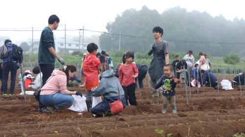 からいも掘り大会の様子