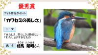 優秀賞1写真