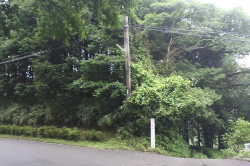 今城跡