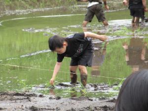 田植えを楽しむ子ども